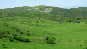 Argentina :: Sierras de Córdoba